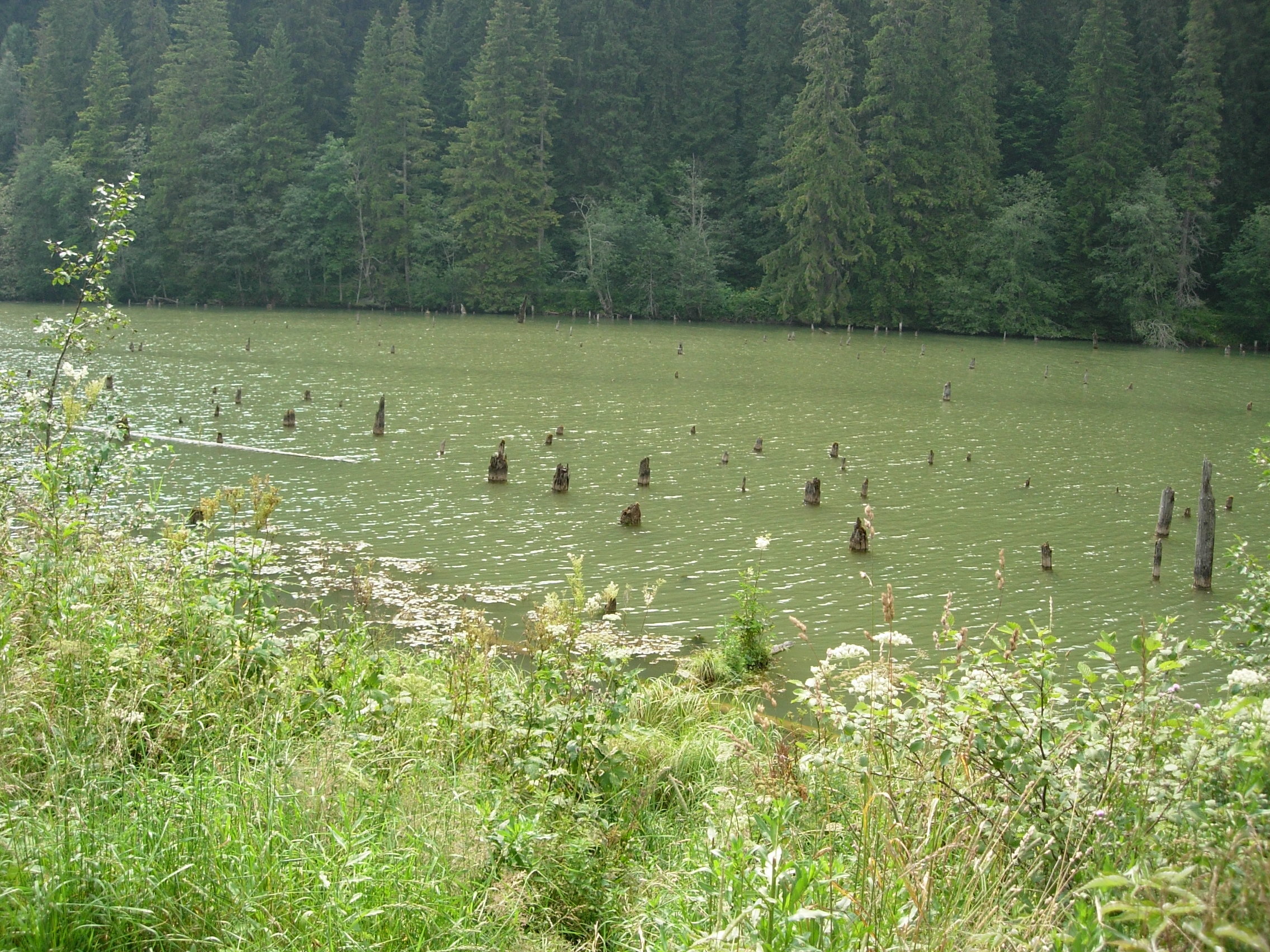 2006 - Romania