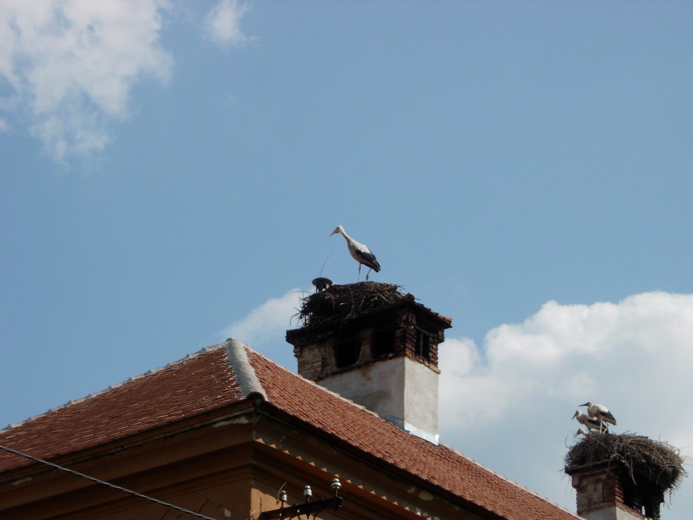 2006 - Romania