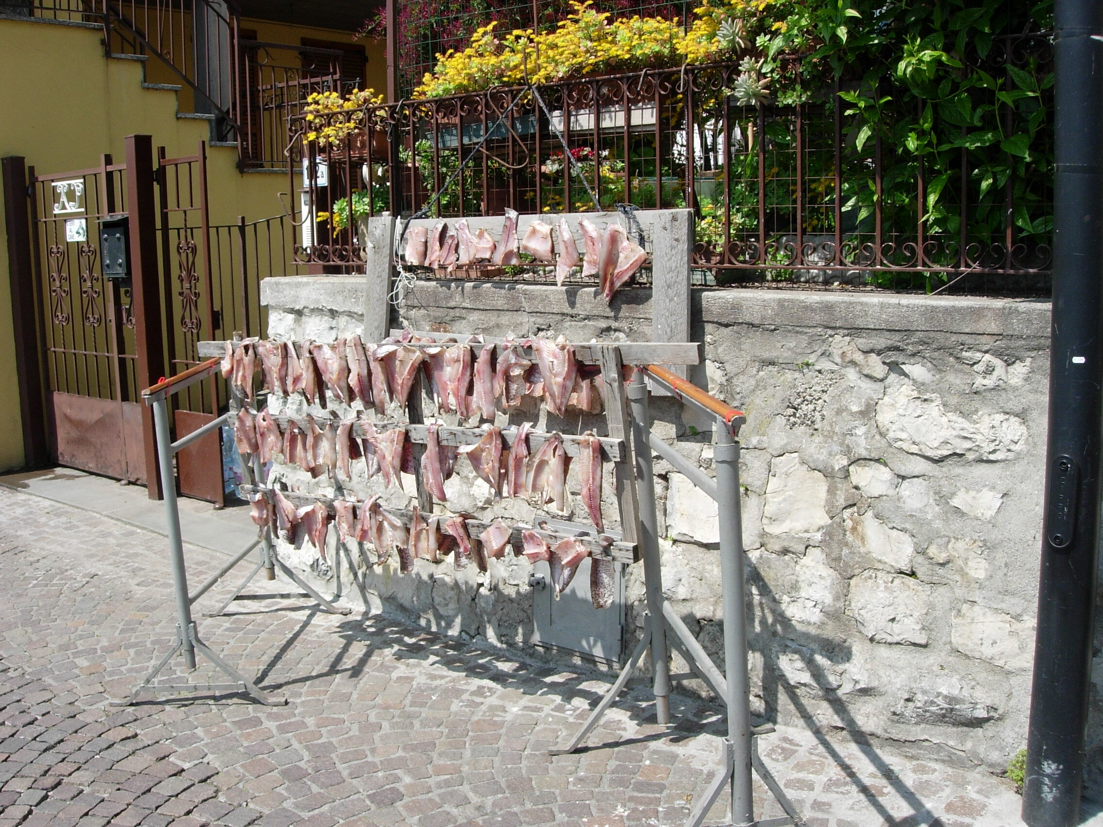2008 - Lago d'Iseo