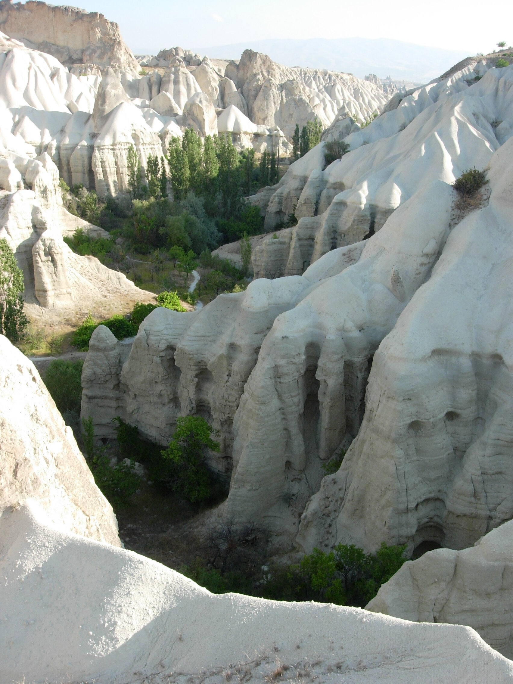 2008 - Turchia