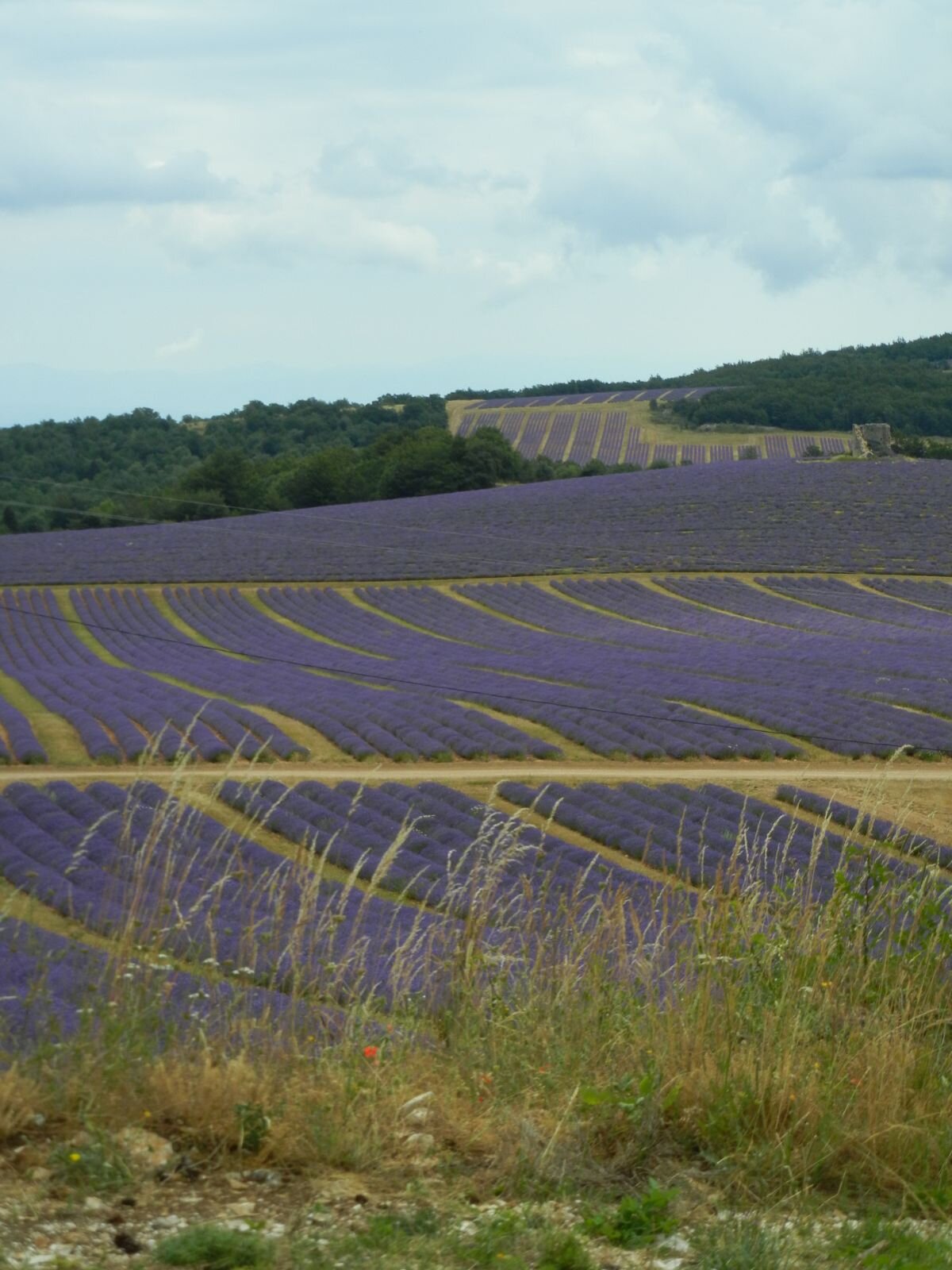 Francia - Provenza